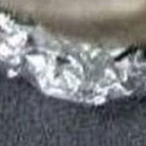 Meet your Posher, Avery